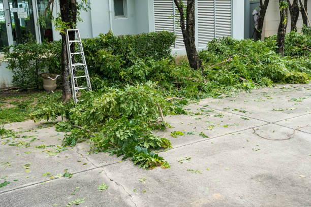 Best Tree Removal for Businesses  in USA